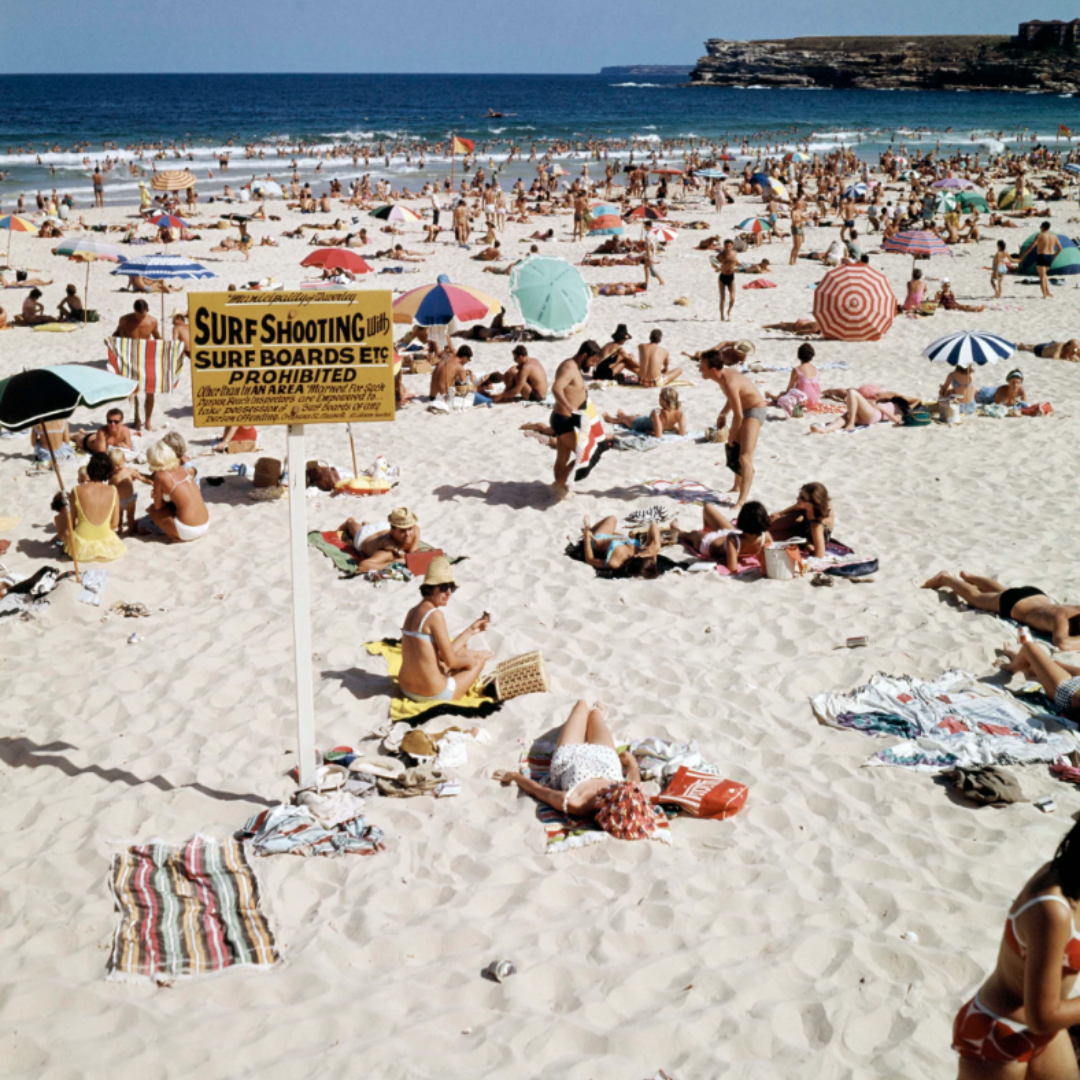 Scorcher By Tim Ross