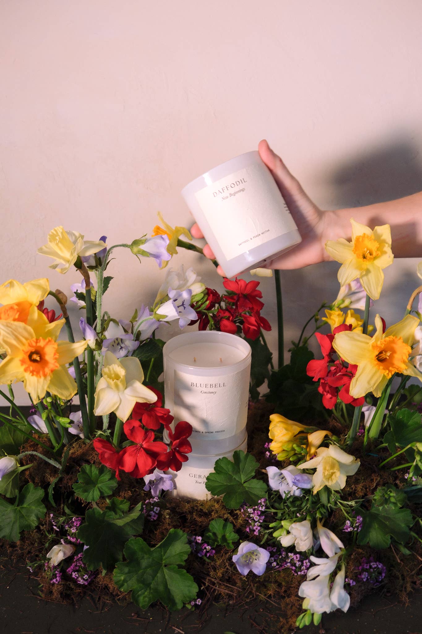 Geranium | 400gm Candle| Rose Geranium & Spice