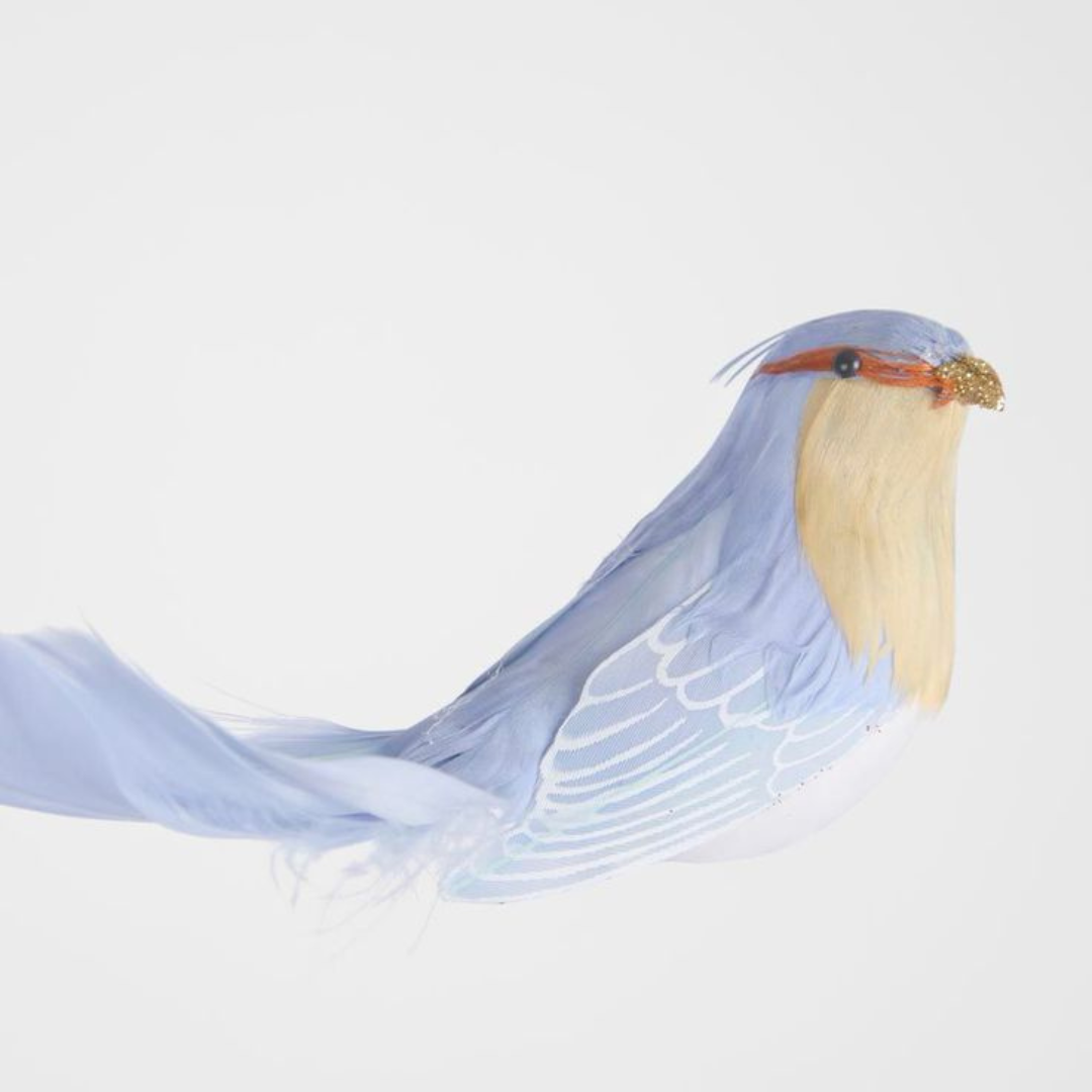 Barron Blue clip on bird