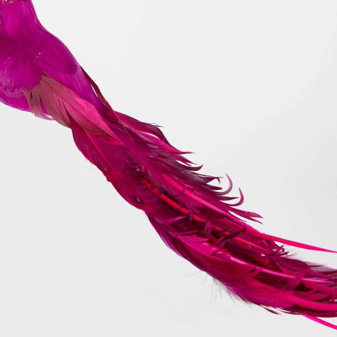 Ellou Clip on Bird - Fuchsia