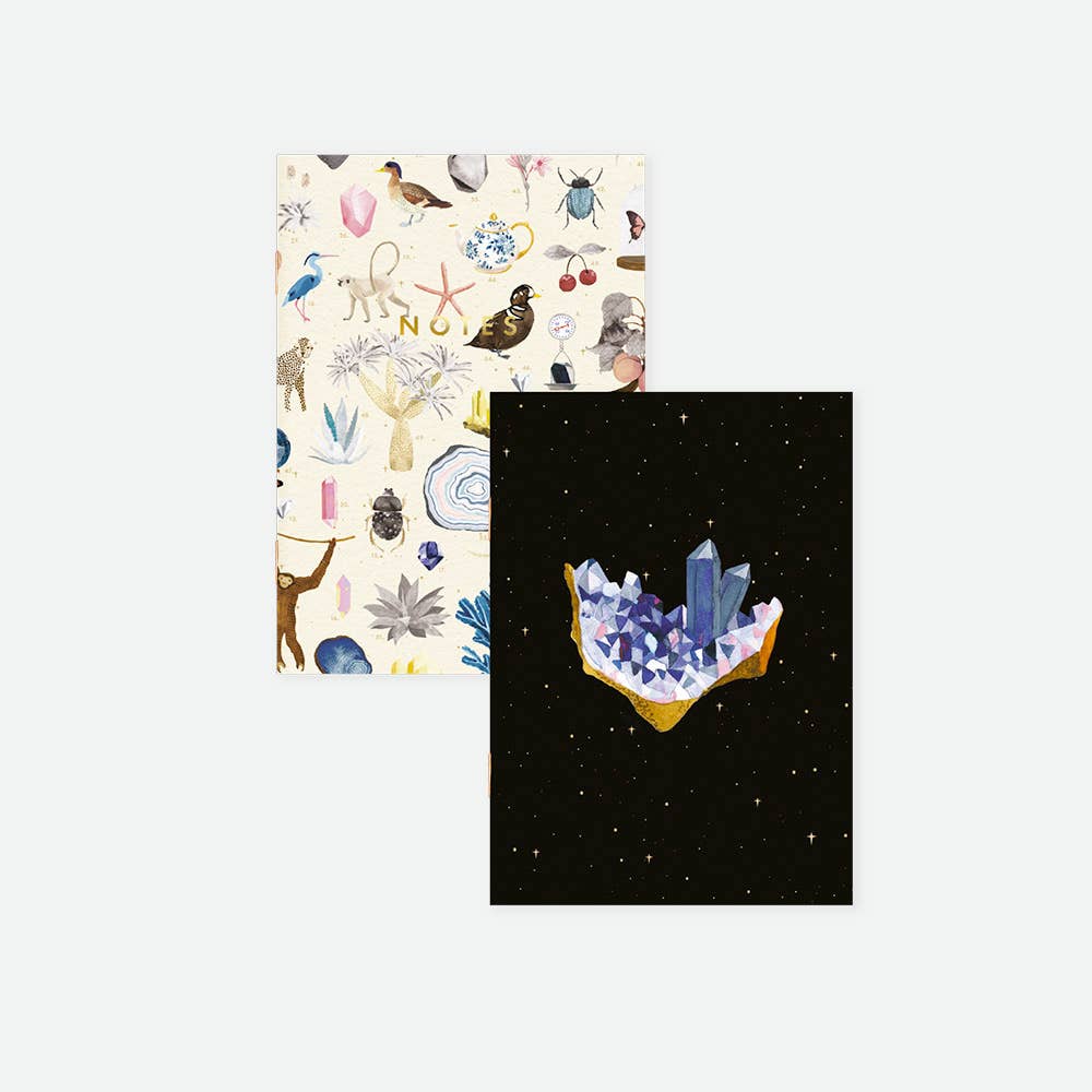 Pocket Notebook DUO - Curiosity - Set of 2