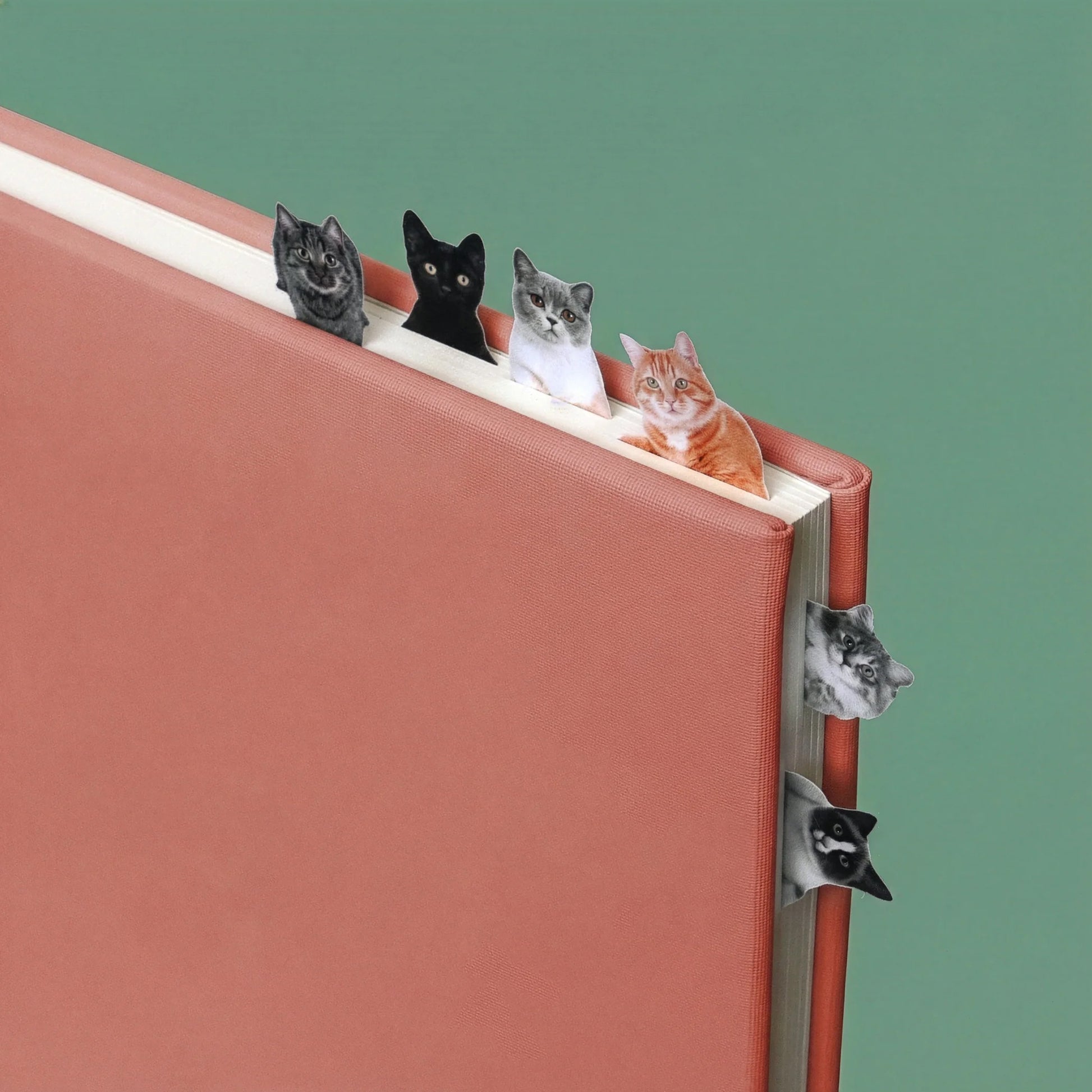 Page Markers Cat