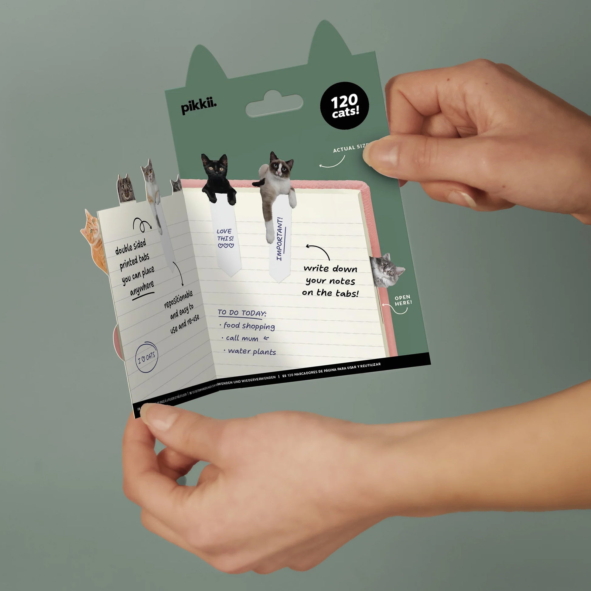 Page Markers Cat