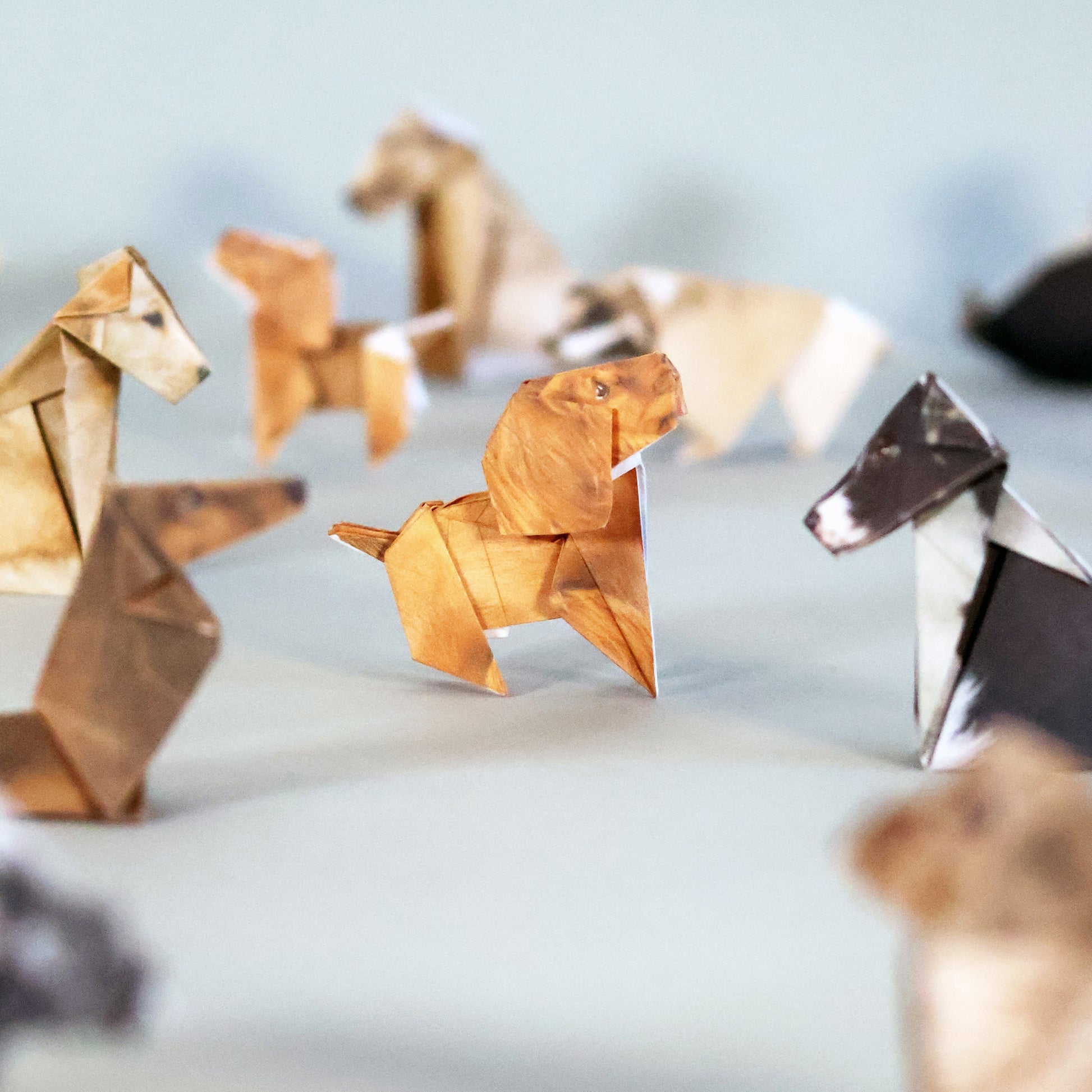 Paper Pups