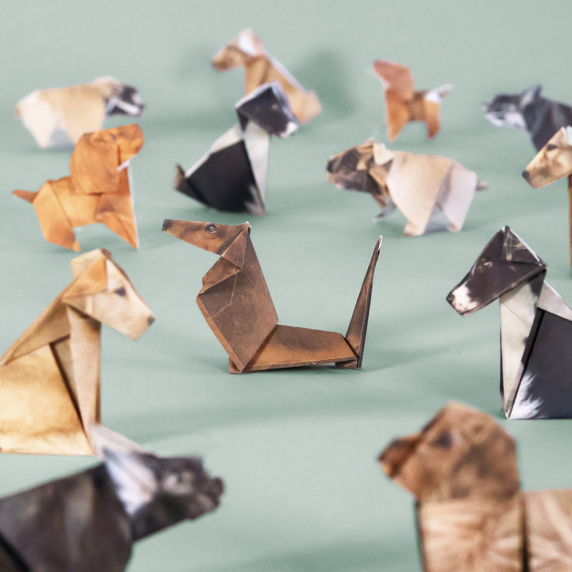 Paper Pups