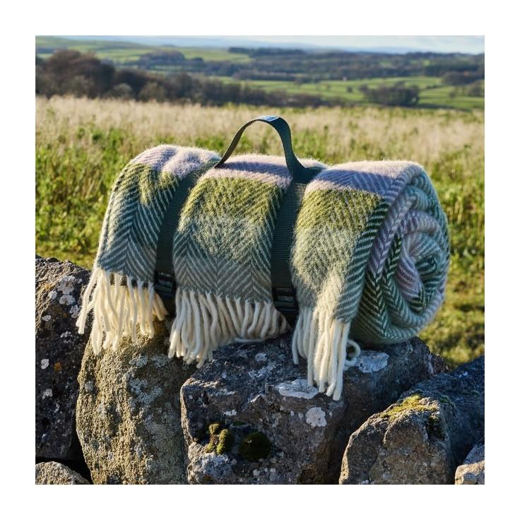 Polo Picnic Wool Rug - Botanical Stripe