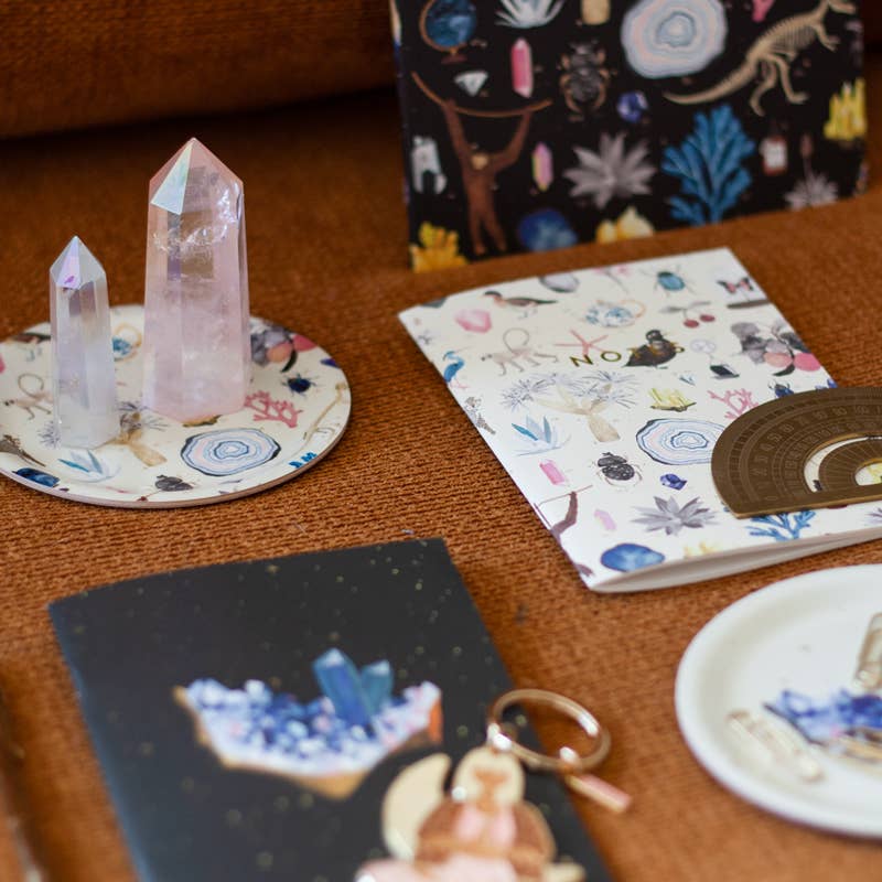 Pocket Notebook DUO - Curiosity - Set of 2