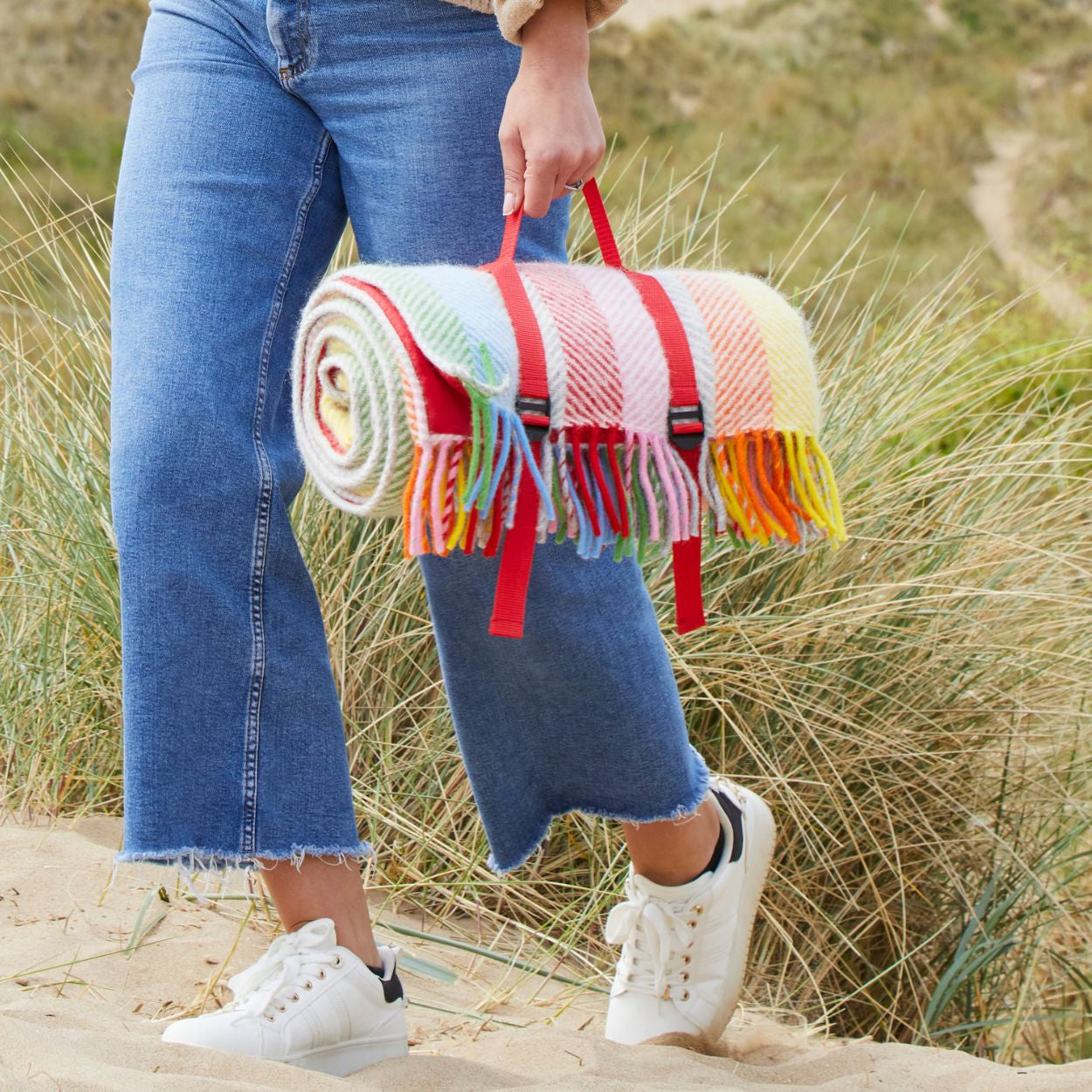 Tweedmill Polo Wool Picnic Rug – Rainbow Stripe
