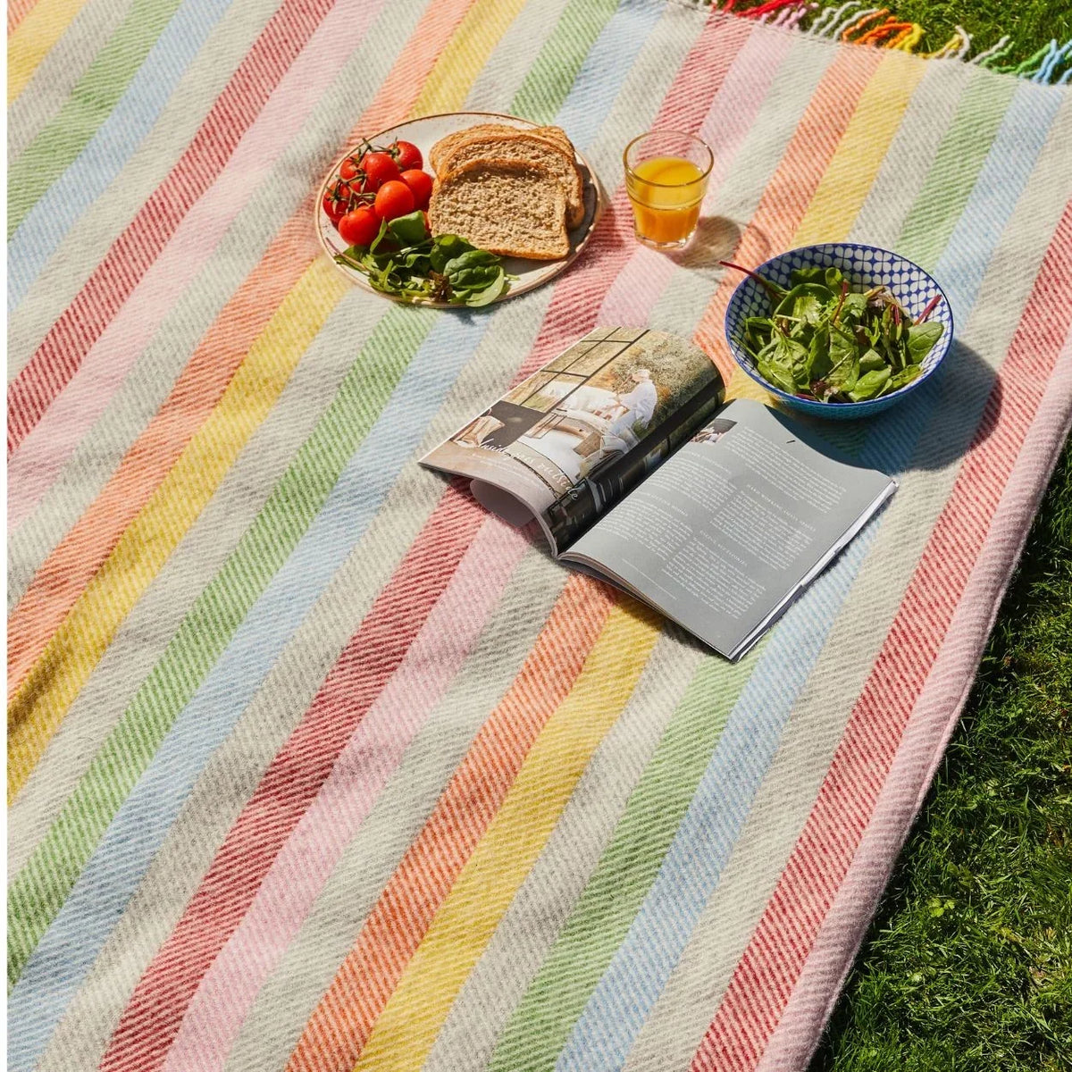 Tweedmill Polo Wool Picnic Rug – Rainbow Stripe