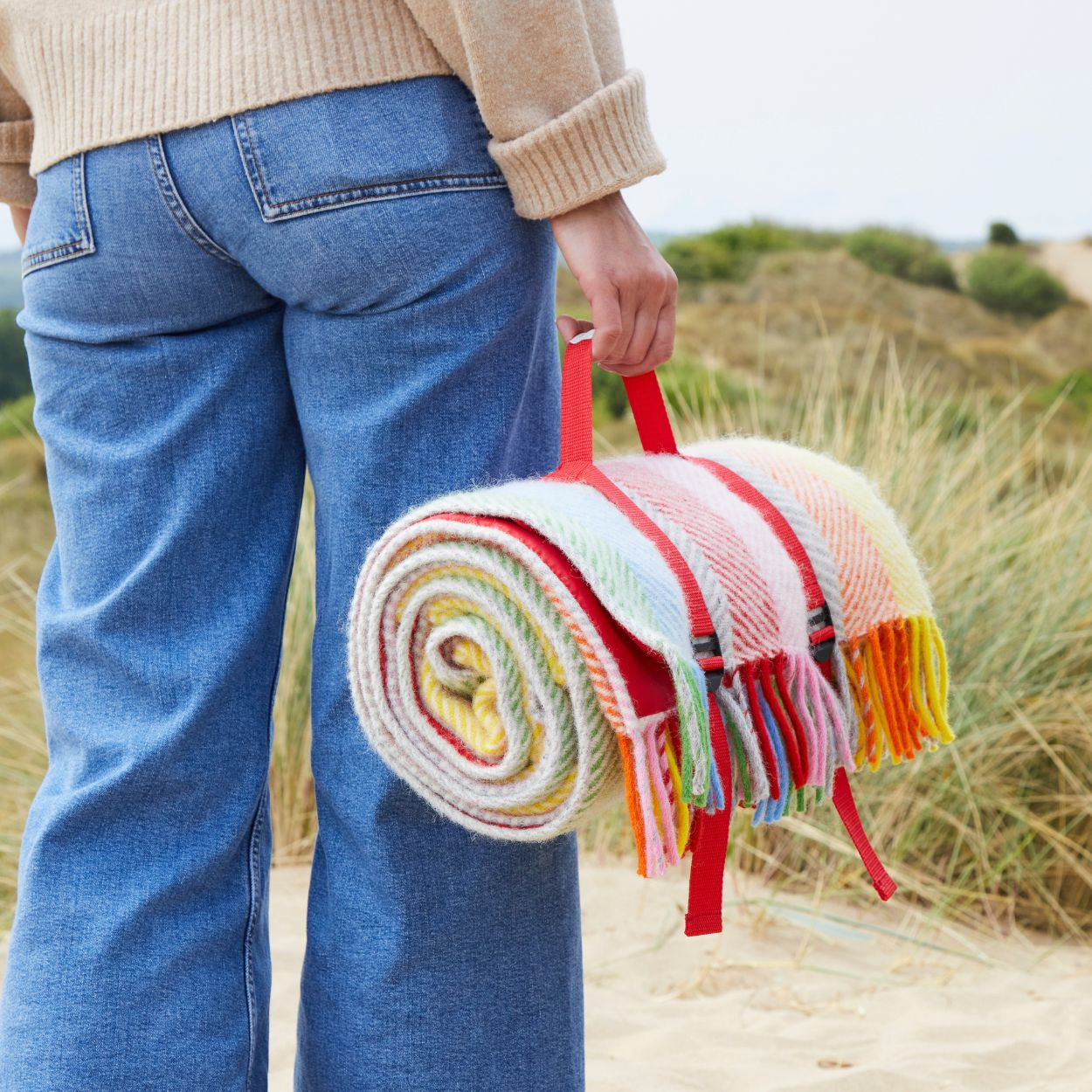 Tweedmill Polo Wool Picnic Rug – Rainbow Stripe