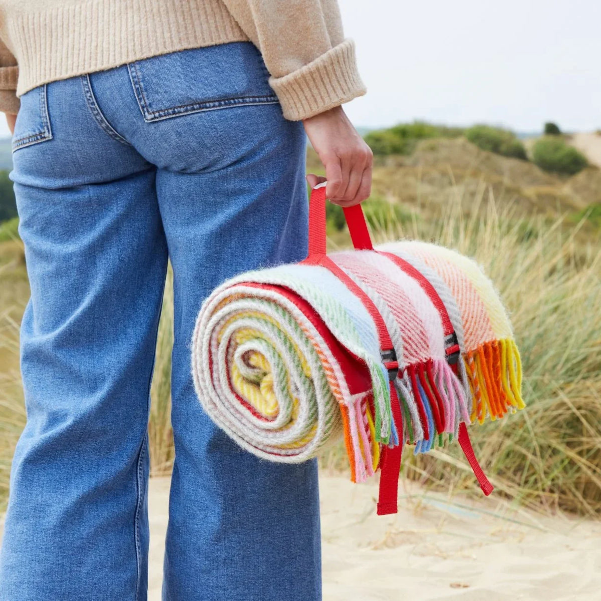 Tweedmill Polo Wool Picnic Rug – Rainbow Stripe