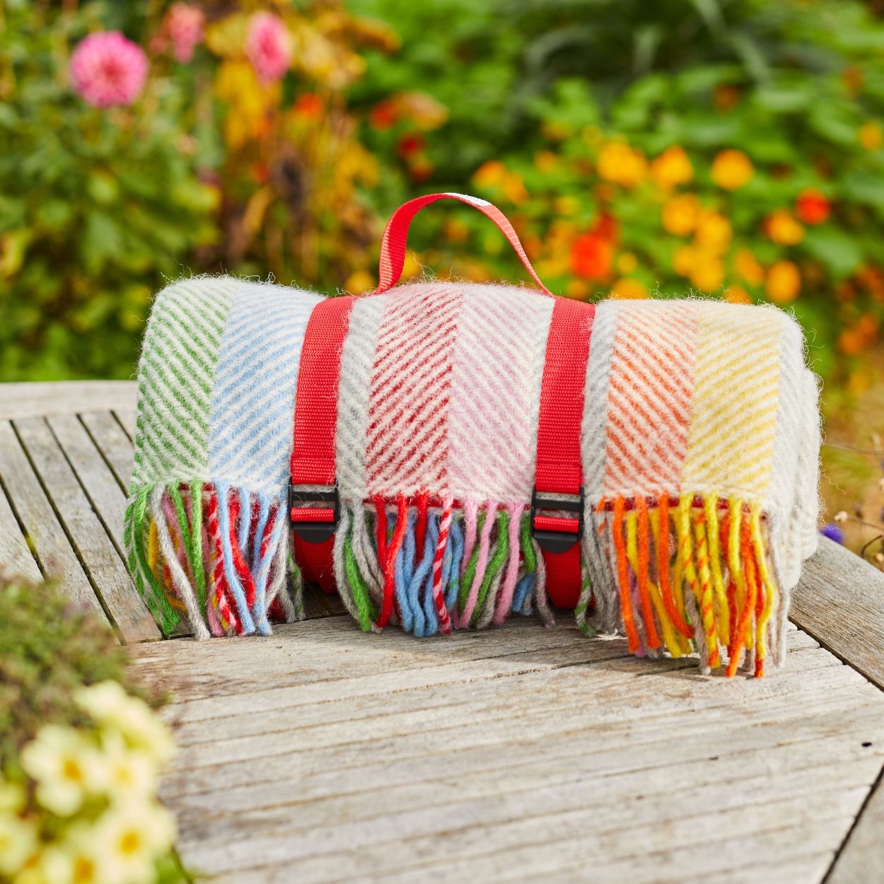 Tweedmill Polo Wool Picnic Rug – Rainbow Stripe