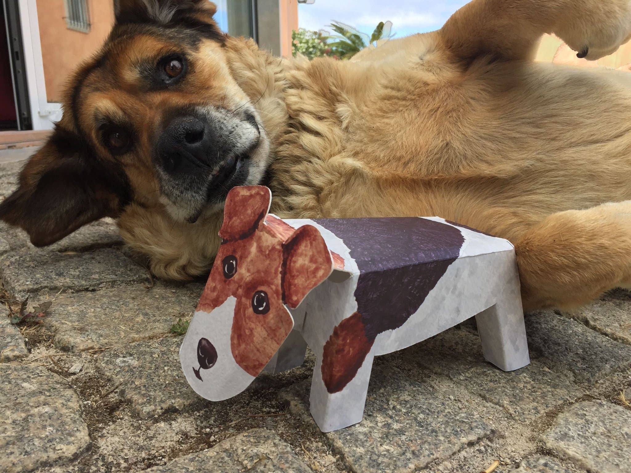 Pop Up Pet Fox Terrier – Paper Pet Gift