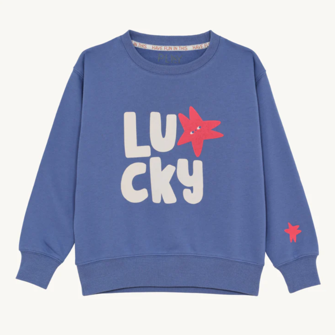 Lucky Star Sweater By PLAYetc