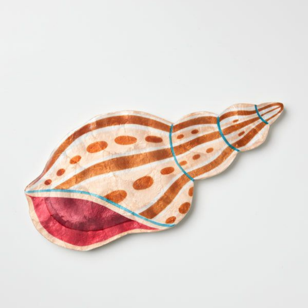 AGNAR SHELL CAPIZ SHELL WALL ART