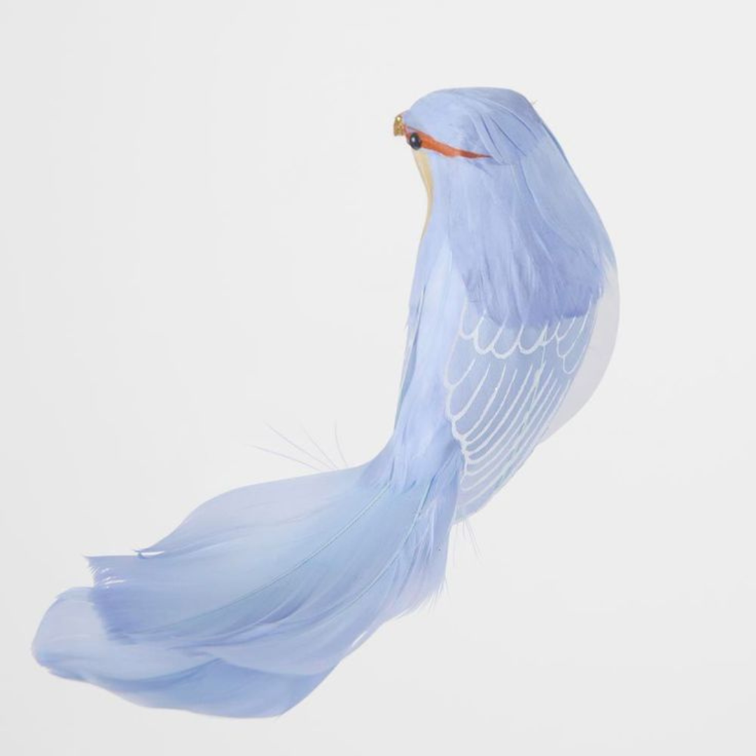 Barron Blue clip on bird