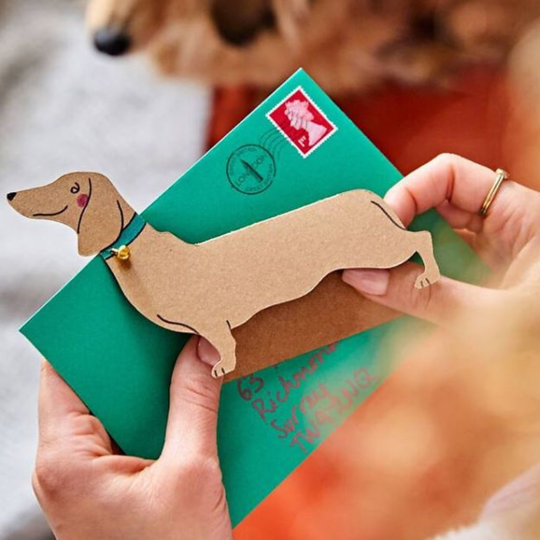 Dachshund Sausage Dog Greeting Card