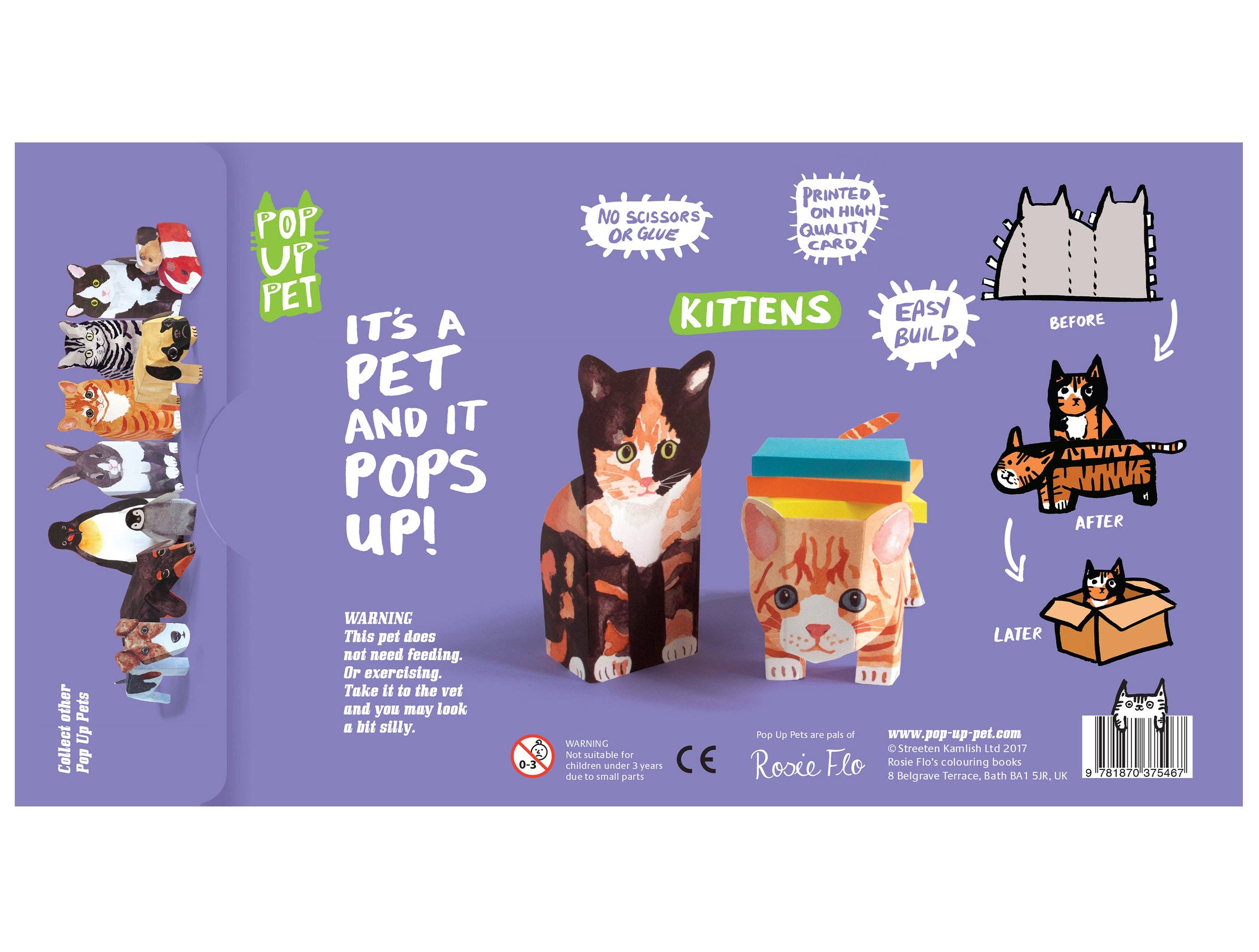 Pop Up Pet Kittens – Paper Pet Gift