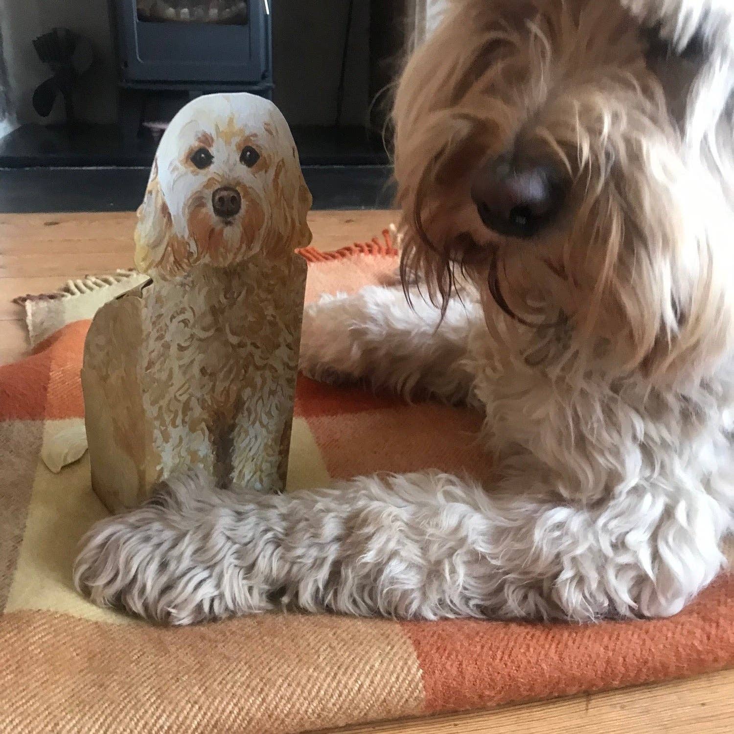 Pop Up Pet Cockapoo – Paper Pet Gift