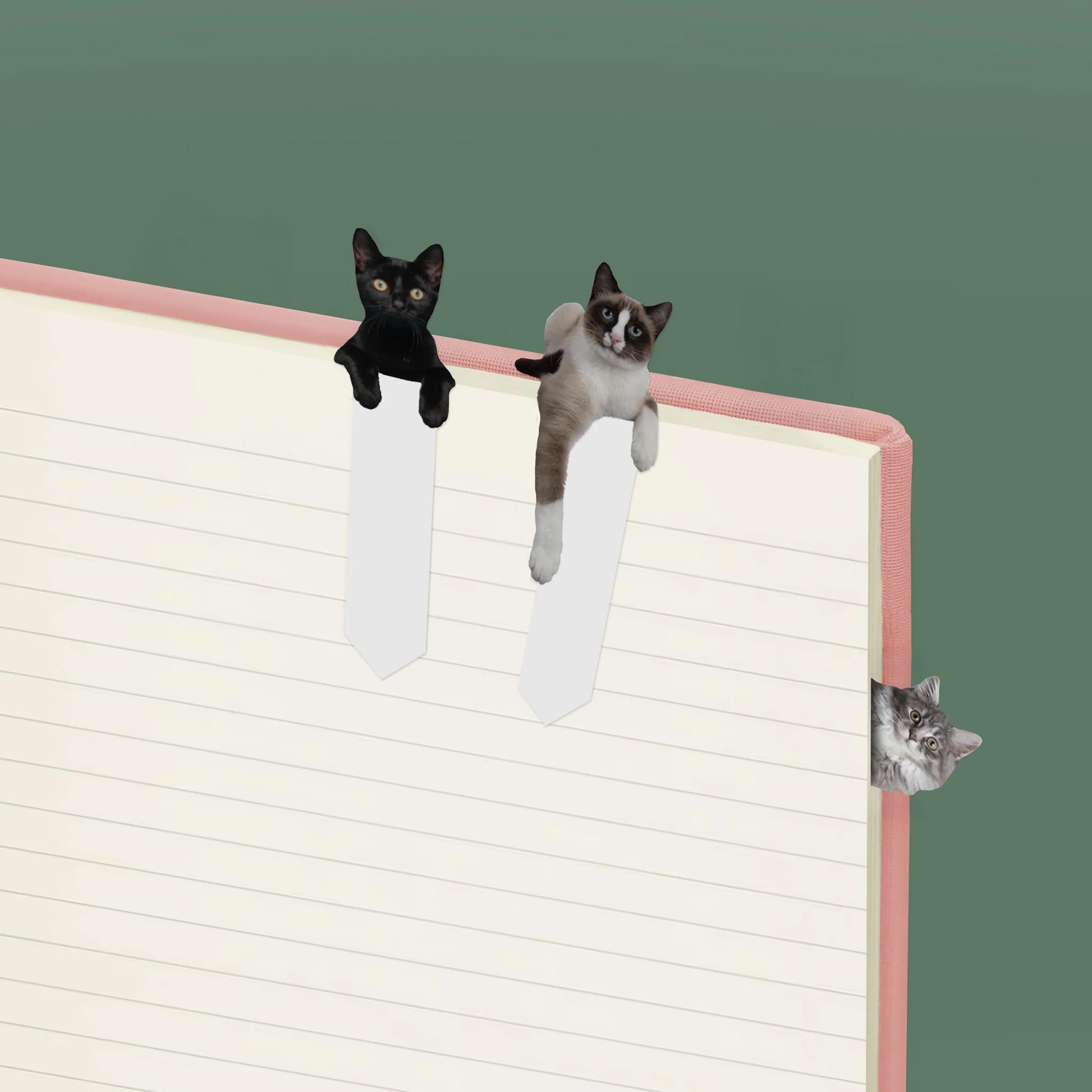 Page Markers Cat