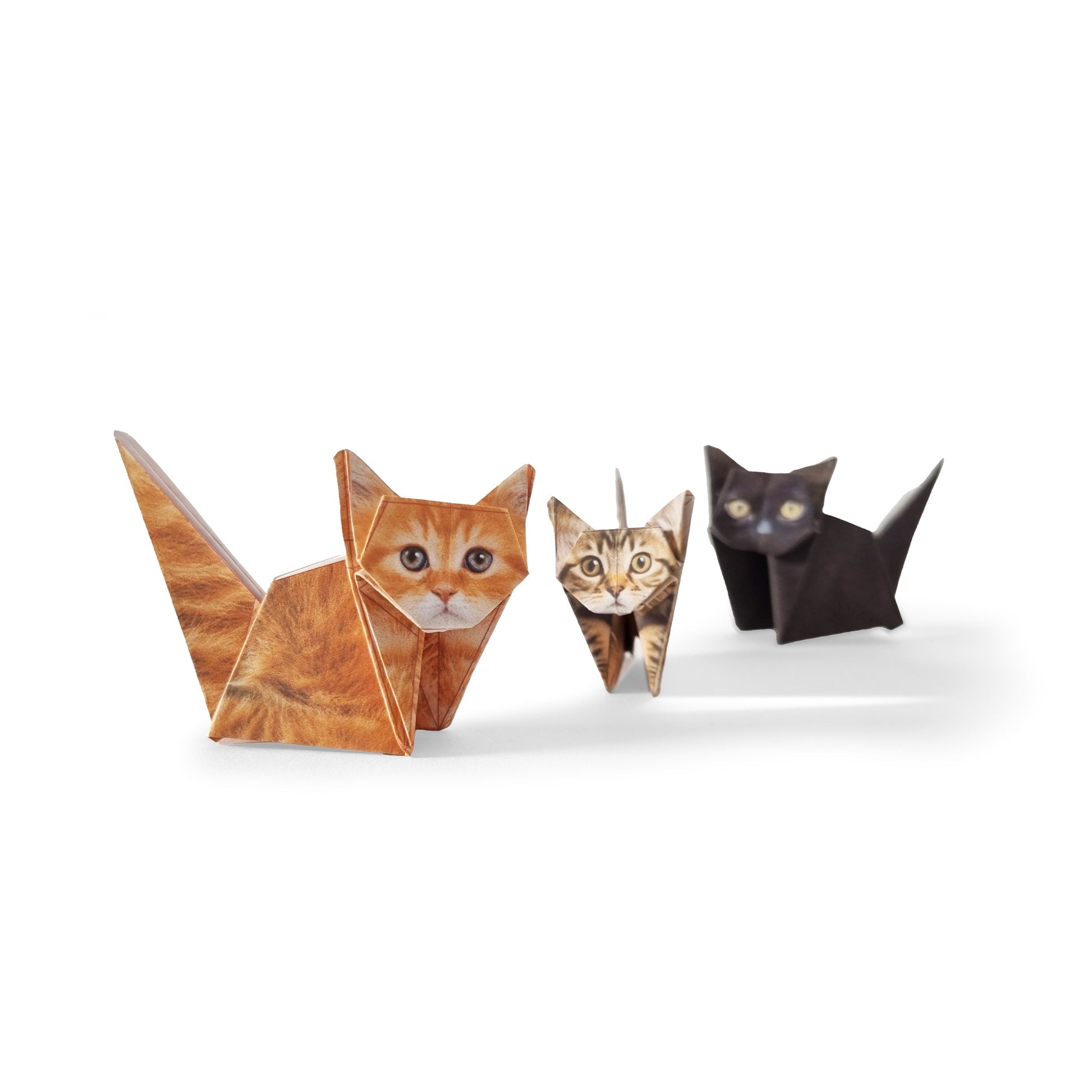 Paper Cats