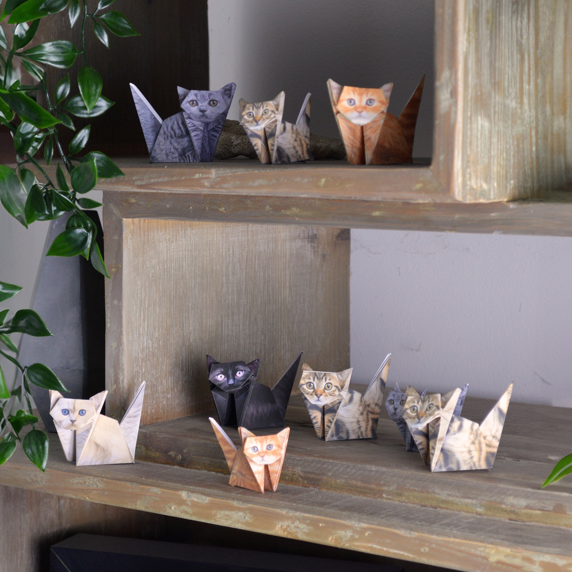 Paper Cats