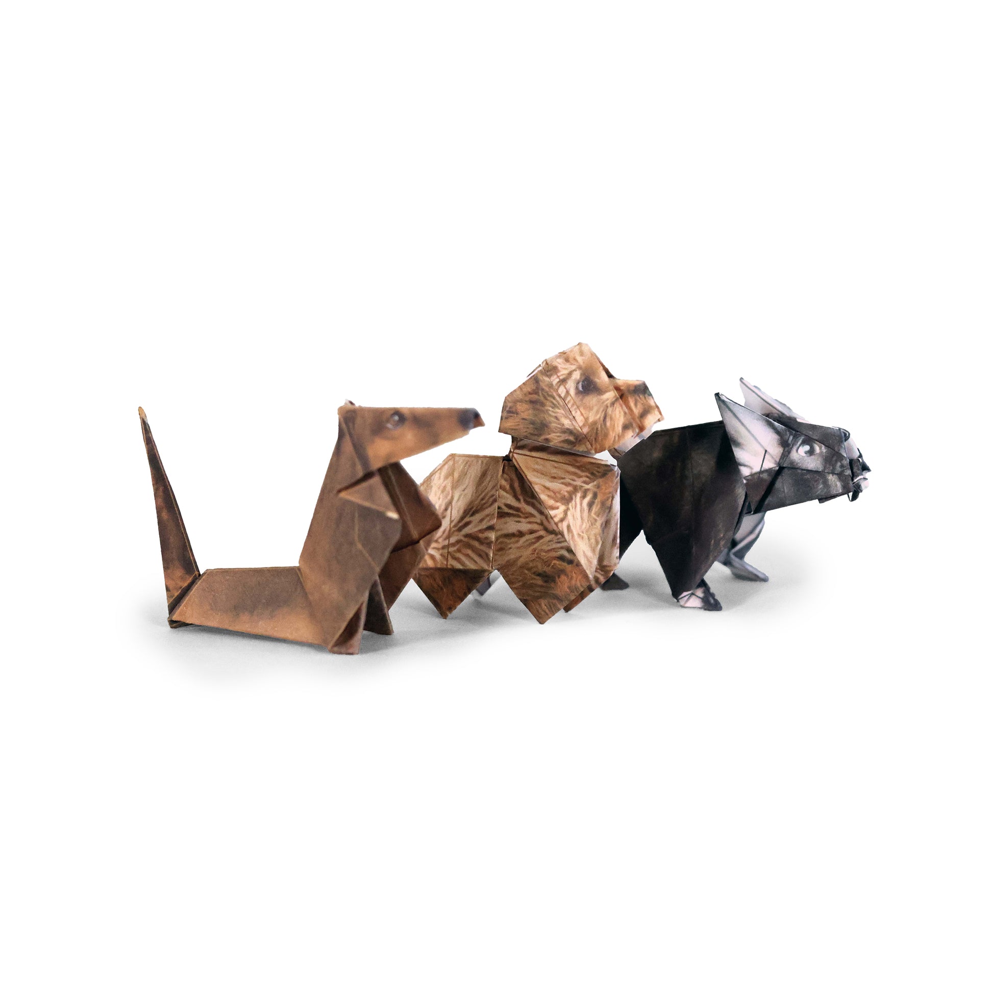 Paper Pups