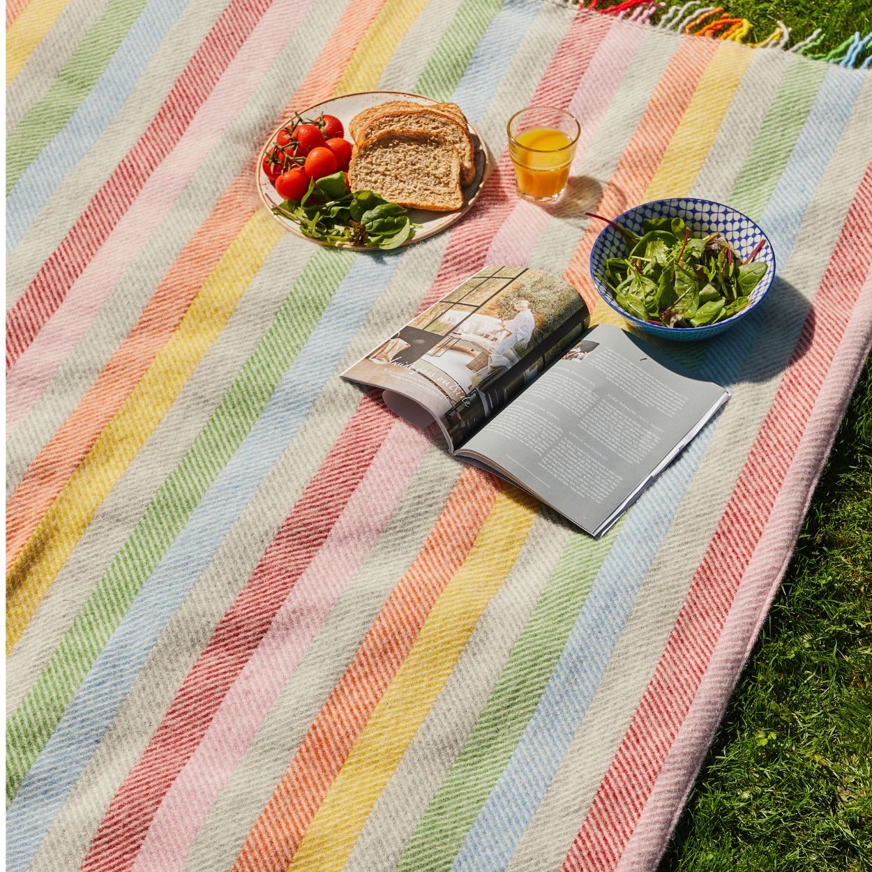 Tweedmill Polo Wool Picnic Rug – Rainbow Stripe